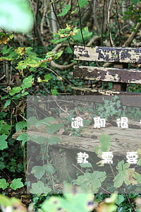 逾期很久的信用卡怎么還款（還信用卡逾期欠款需要多長時間）