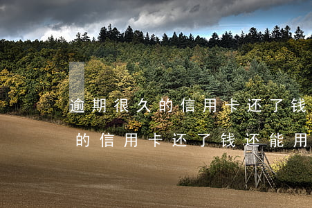 逾期很久的信用卡还了钱还能用-逾期很久的信用卡还了钱还能用吗