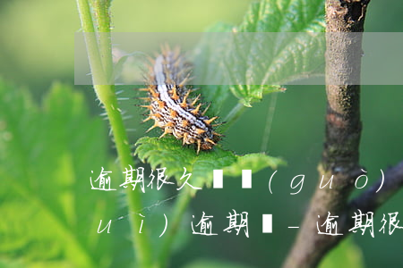 逾期很久還過(guò)最低還款還會(huì)逾期嗎-逾期很久還過(guò)最低還款還會(huì)逾期嗎怎么辦