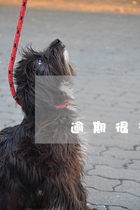 逾期很多次一天(一天逾期影響信用嗎)