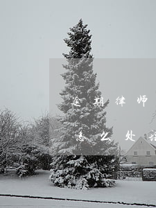 逾期律师事务所挂号信(收到律师挂号信应该怎么处理)