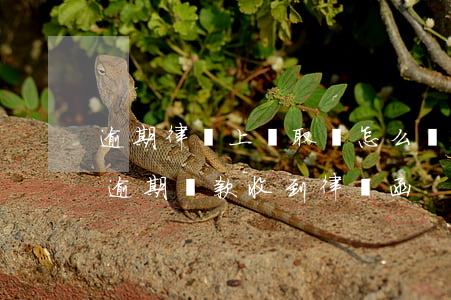 逾期律師上門取證怎么協(xié)商還款 逾期還款收到律師函