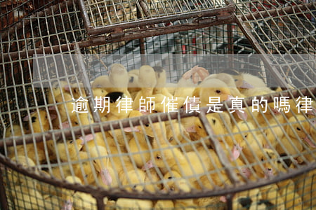 逾期律師催債是真的嗎(律師催收欠款)
