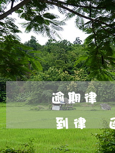 逾期律師函不收會怎么樣（信用逾期還不上收到律師函）