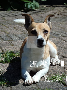 逾期律師函不收會怎么樣(收到律師函不處理會怎么樣)