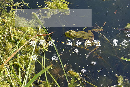 逾期律師函和法院傳票(逾期后收到郵寄來的律師函)
