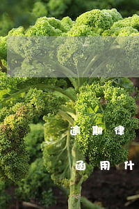 逾期律師函寄到法院(逾期發(fā)送律師函用什么快遞)