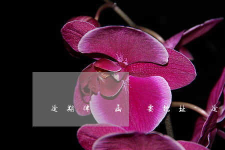 逾期律師函說要地址-逾期多久律師函