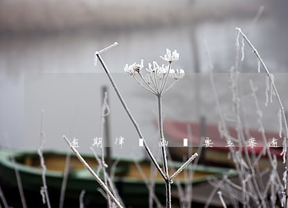 逾期律師函說要立案(逾期收到律師函)