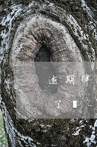逾期律師聯(lián)系自己就是被起訴了嗎-逾期律師聯(lián)系自己就是被起訴了嗎怎么辦