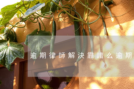 逾期律師解決靠譜么(逾期接到律師電話)
