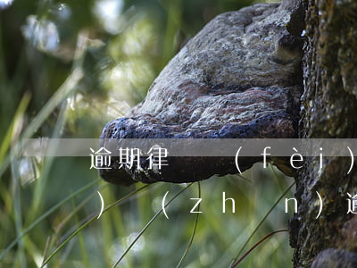 逾期律師費(fèi)用收取標(biāo)準(zhǔn)(逾期律師費(fèi)用收取標(biāo)準(zhǔn))