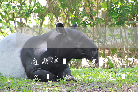 逾期律師起訴要多久 逾期律師函收到之后多久會(huì)起訴