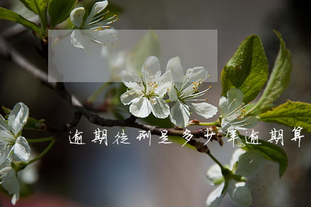 逾期徒刑是多少年(逾期算犯罪嗎)