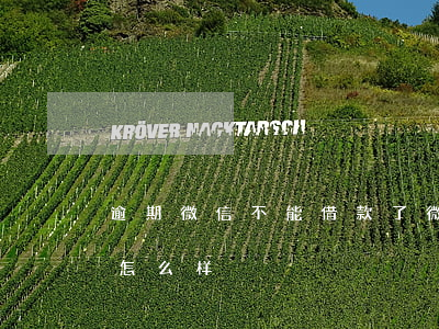 逾期微信不能借款了(微信借钱逾期半个月会怎么样)