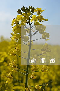 逾期微信会冻结吗 逾期多久会冻结微信