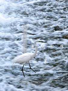 逾期微信協(xié)商可信嗎(微信逾期的后果)