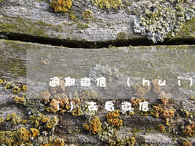 逾期微信會(huì)顯示嗎(逾期會(huì)去看微信記錄嗎)