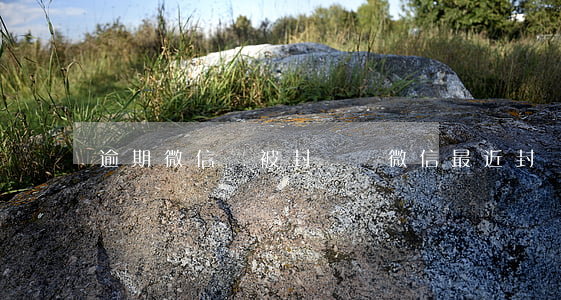 逾期微信會被封號嗎(微信最近封號情況)