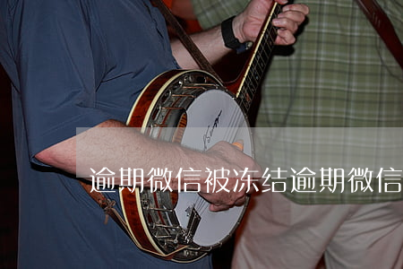 逾期微信被冻结(逾期微信被冻结后果)