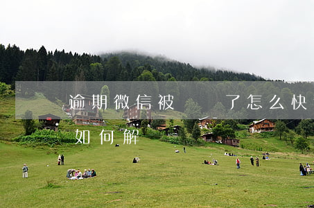 逾期微信被凍結了怎么快速解凍(微信被凍結如何解凍?)