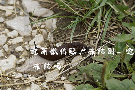 逾期微信账户冻结图-逾期会导致微信的钱冻结吗