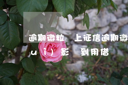 逾期微粒貸上征信(逾期微粒貸上征信,會(huì)影響到用借唄嗎)
