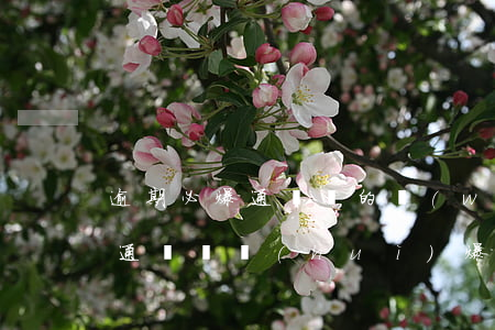 逾期必爆通訊錄的網(wǎng)貸(逾期爆通訊錄會(huì)爆多久)