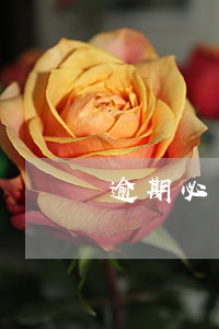 逾期必須本人還款嗎(逾期需要還全款嗎)