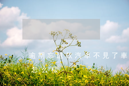 逾期忘還款汽車不見了(車貸到期忘記還款會怎么樣)