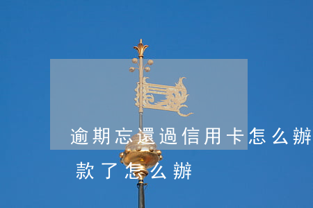 逾期忘還過信用卡怎么辦(信用卡逾期忘記還款了怎么辦)