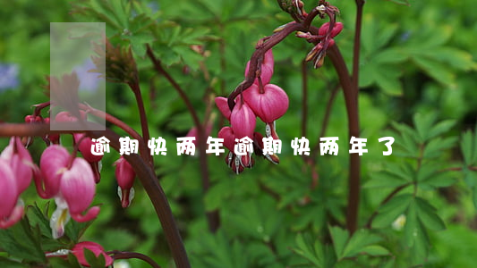 逾期快两年(逾期快两年了)