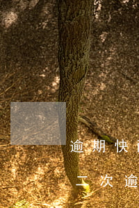 逾期快兩個月了還能協(xié)商還款嗎(二次逾期還能協(xié)商嗎)