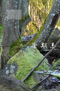 逾期怎么不扣款(沒扣款導(dǎo)致逾期)