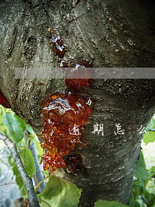 逾期怎么不扣款(没扣款导致逾期)