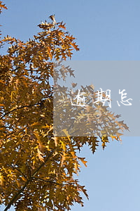 逾期怎么交水费(水费逾期在哪里交)