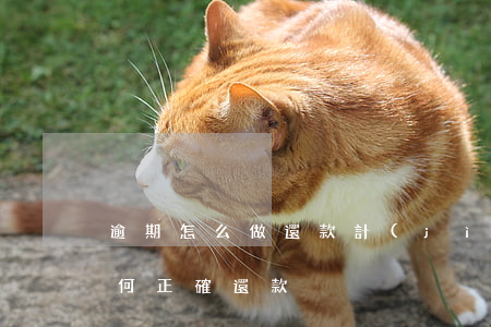 逾期怎么做還款計(jì)劃(貸款逾期后如何正確還款)