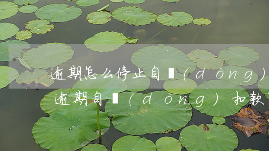 逾期怎么停止自動(dòng)扣款（信用卡逾期自動(dòng)扣款可以取消嗎）