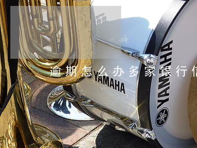 逾期怎么办多家银行信用卡 多个逾期怎么办