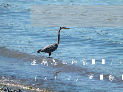 逾期怎么和京東協(xié)商-京東能協(xié)商還款嗎
