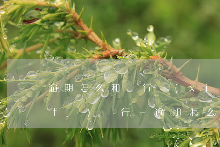 逾期怎么和銀行協(xié)商還款浦發(fā)銀行-逾期怎么和銀行協(xié)商還款浦發(fā)銀行卡