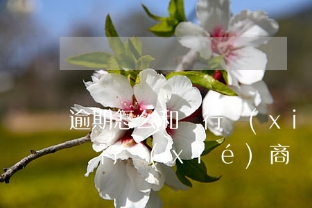 逾期怎么和銀行協(xié)商還款（逾期和銀行協(xié)商還款注意事項(xiàng)）