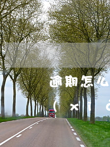 逾期怎么在銀行辦理房貸(銀行貸款有逾期,現(xiàn)在要貸款怎么貸)