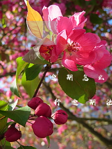 逾期怎么才知道有沒有被法院執(zhí)行(逾期法院強(qiáng)制執(zhí)行也沒有怎么辦)