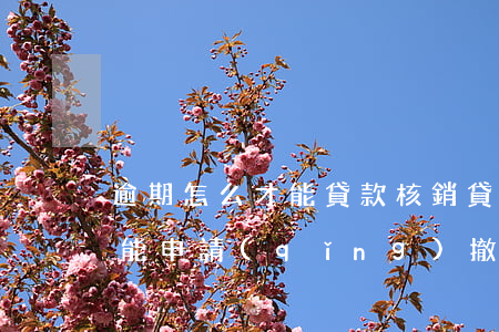 逾期怎么才能貸款核銷(貸款的逾期記錄是否能申請(qǐng)撤銷?)
