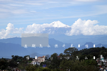逾期怎么提升花唄信譽(yù)度(花唄影響信譽(yù)怎么辦)
