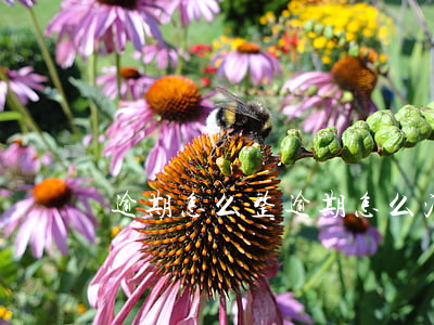 逾期怎么整(逾期怎么消除)