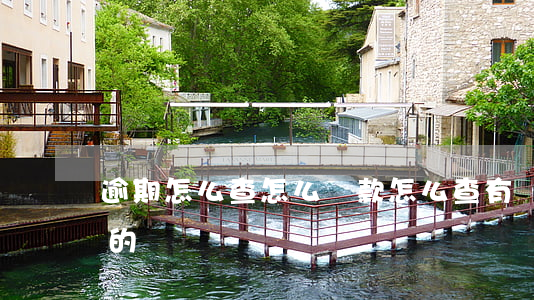 逾期怎么查怎么還款(怎么查有沒有逾期沒還的)