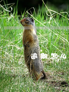 逾期怎么查詢 逾期怎么查詢自己是否被起訴