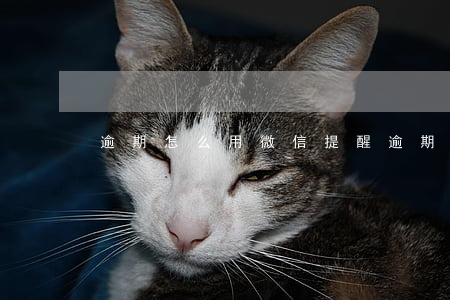 逾期怎么用微信提醒(逾期怎么用微信提醒)